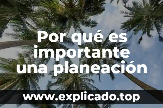 Por que es importante anuel aa 6 Por qué es importante una planeación