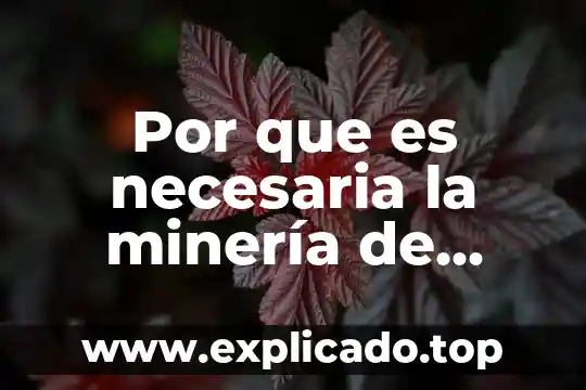 Que es mineria de datos en mvc y c 7 Por que es necesaria la minería de datos