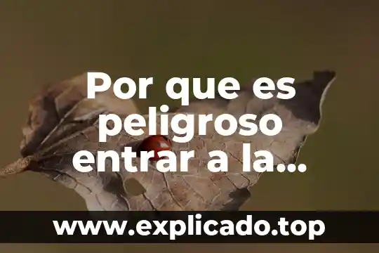 Que es mas peligroso el vph o el vih 4 Por que es peligroso entrar a la deep web