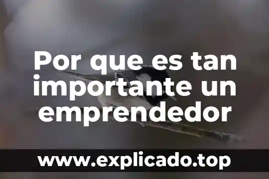 Por que es tan importante un emprendedor