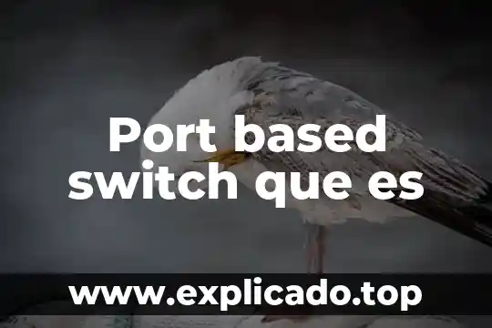 Qué es un switch en redes informáticas 8 Port based switch que es