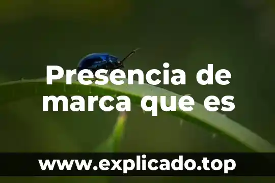 De que es marca soundgear 5 Presencia de marca que es