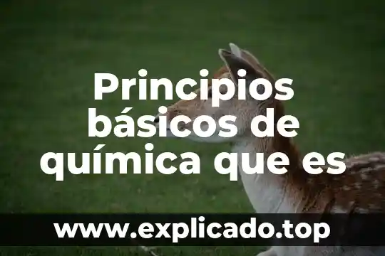 Patrones basicos de movimiento que es 4 Principios básicos de química que es