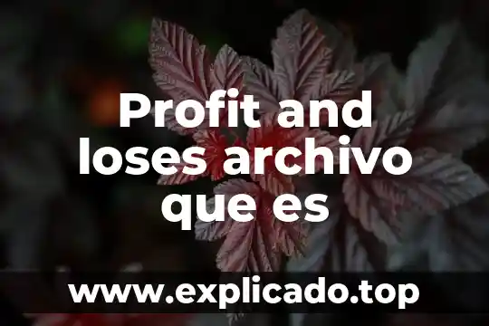 Que es el panel de archivo en publisher 6 Profit and loses archivo que es