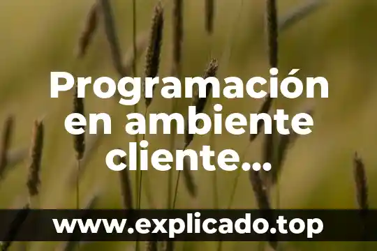 Que es un ambiente de aprendizaje con fecha publicada 4 Programación en ambiente cliente servidor que es