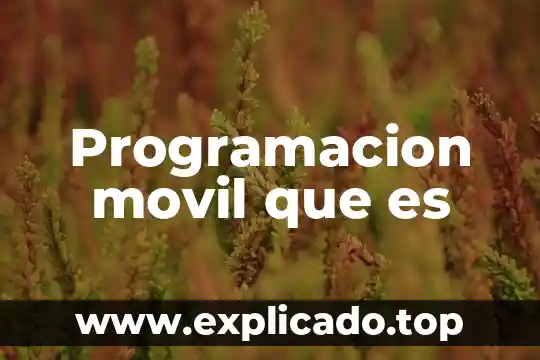 Qué es la programación ActionScript 4 Programacion movil que es