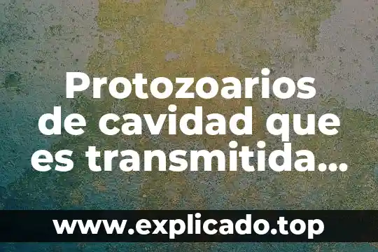 Que es un geodesico directo 3 Protozoarios de cavidad que es transmitida por contacto directo