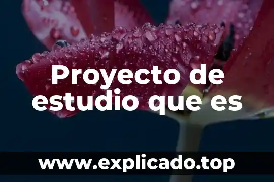 Que es el proyecto pedagogico de aula ppa 3 Proyecto de estudio que es