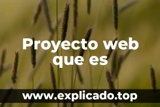 Que es la mediacion comercio internacional 7 Proyecto web que es