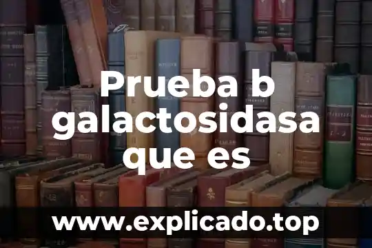 Prueba b galactosidasa que es