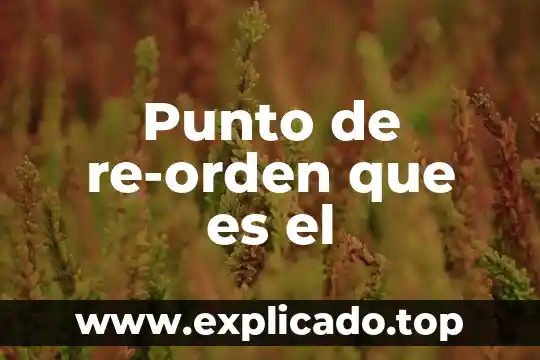 Que es la hybris del punto cero 7 Punto de re-orden que es el