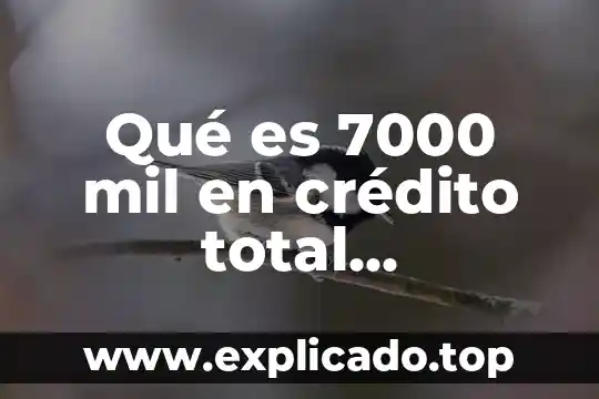 Estado de buro de crédito que es y como funciona 7 Qué es 7000 mil en crédito total disponible buro