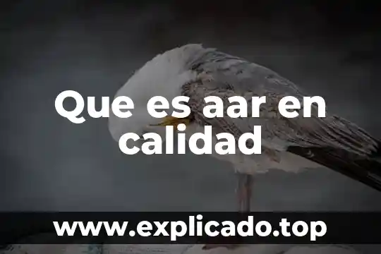 Ejemplo de lo que es una política de calidad 5 Que es aar en calidad