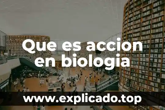 Que es accion en biologia