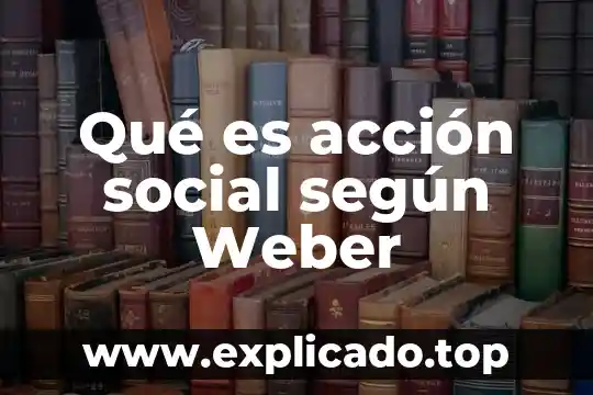 Que es el rif segun el sat 6 Qué es acción social según Weber