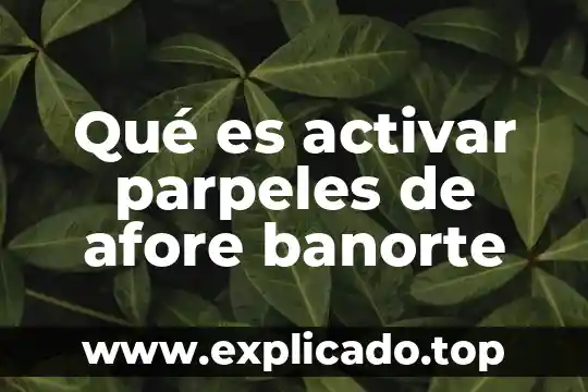 Que es activar promotores 8 Qué es activar parpeles de afore banorte