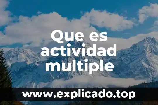 Que es una actividad economica preponderante 8 Que es actividad multiple