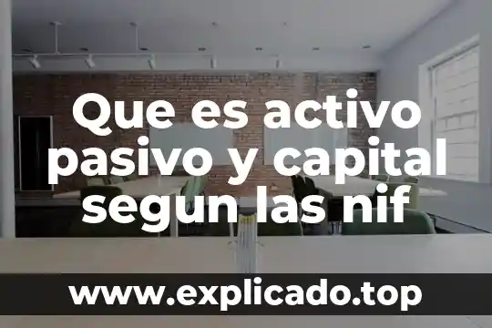 Que es pasivo y los tipos en una empresa 3 Que es activo pasivo y capital segun las nif