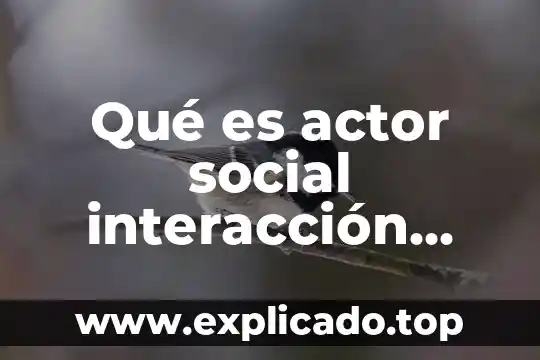 Qué es actor social interacción social