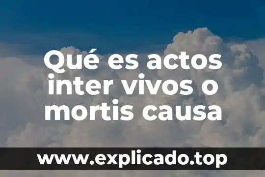 Qué es actos inter vivos o mortis causa