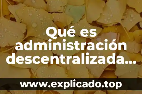 Lo que es en la organización descentralizada y descentralizada 7 Qué es administración descentralizada definición