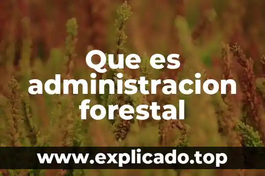 Que es una masa forestal 5 Que es administracion forestal