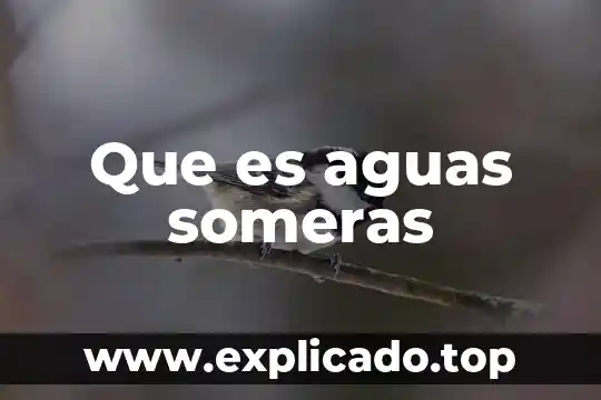 Qué es depuradoras de aguas residuales 6 Que es aguas someras