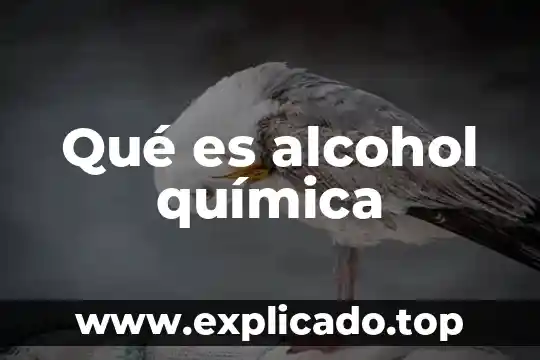 Qué es alcohol química