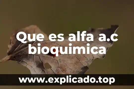 A.c que es cuando comienza 6 Que es alfa a.c bioquimica