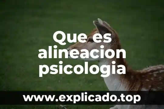 Que es alineacion psicologia