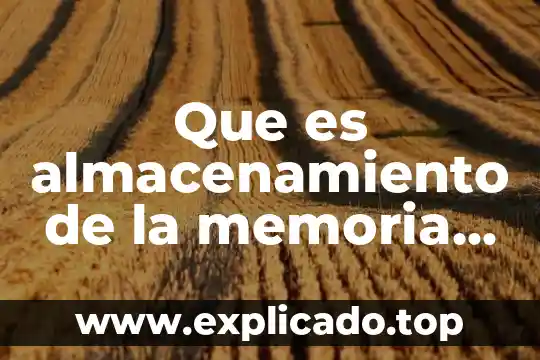Qué es una noción de modelos 7 Que es almacenamiento de la memoria psicologia
