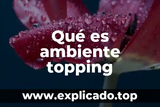 Que es el ambiente de confort 3 Qué es ambiente topping