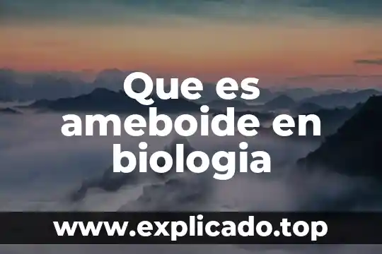 Biologia que es el adn 6 Que es ameboide en biologia