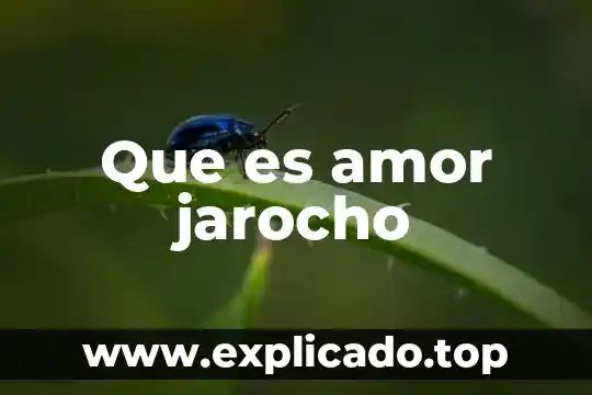 Que es mejor el amor o el deseo 7 Que es amor jarocho