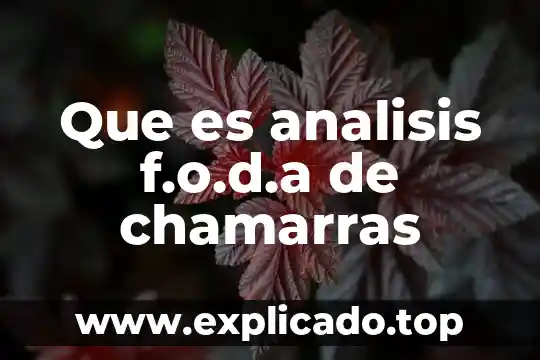 Que es el foda aplicaciones 3 Que es analisis f.o.d.a de chamarras