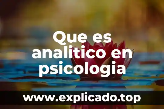 Que es la funcion afectividad en la psicologia 5 Que es analitico en psicologia