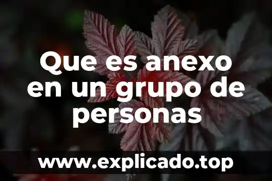 Que es un grupo mesianico 6 Que es anexo en un grupo de personas
