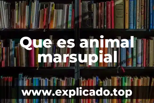 Qué es un wombat animal 3 Que es animal marsupial