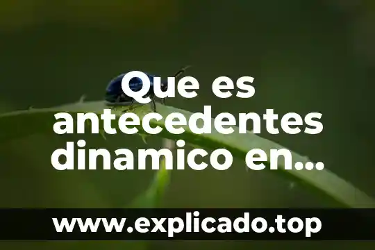Qué es paranoide en psicología 8 Que es antecedentes dinamico en psicologia