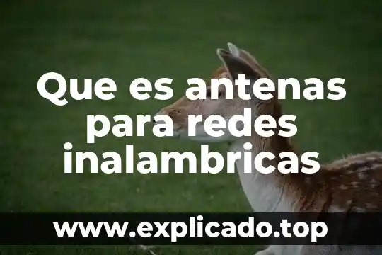 Que es bw en redes 6 Que es antenas para redes inalambricas