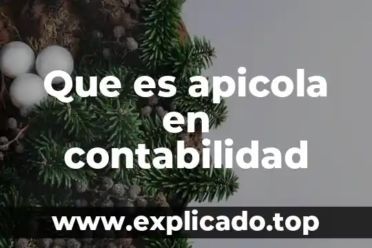 Que es ser ubn estudiante autonomo 8 Que es apicola en contabilidad