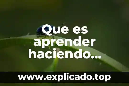 Que es el don de la profecia segun el cristianismo 5 Que es aprender haciendo segun don luis zambrano