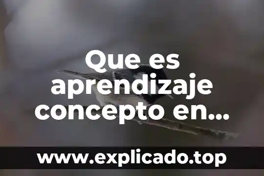 Qué es el conflicto de un libro 3 Que es aprendizaje concepto en libro educativo