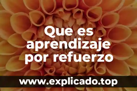 Que es aprendizaje por refuerzo