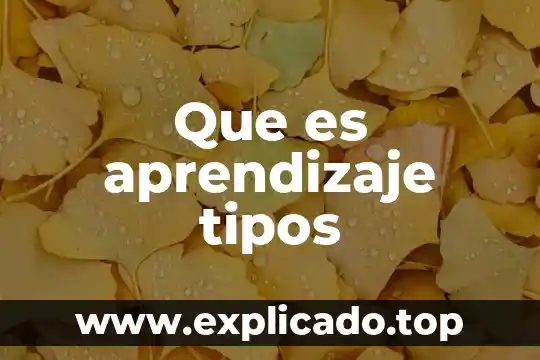 Que es aprendizaje tipos