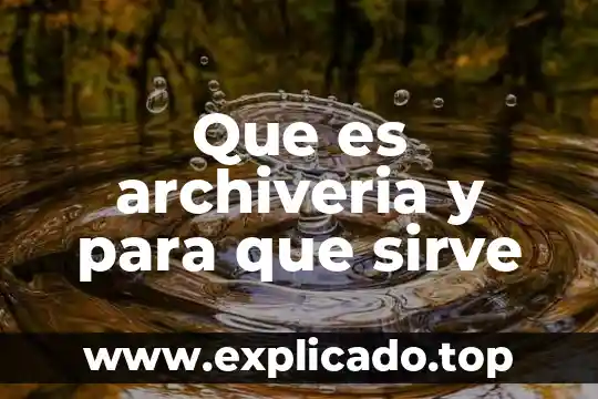 Que es la inversion extranjera directa bilateral 7 Que es archiveria y para que sirve