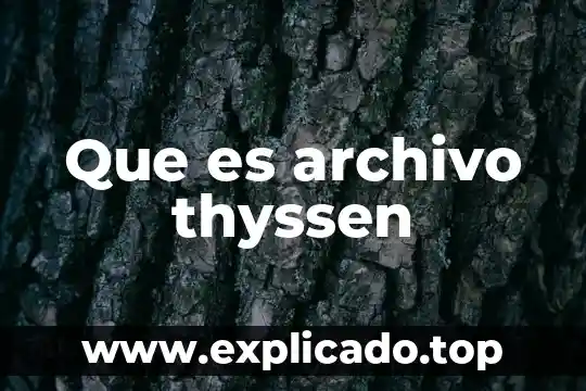 Que es archivo thyssen
