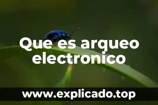 Que es arqueo electronico