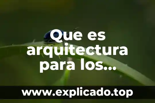 Que es la función segun arquitectos 3 Que es arquitectura para los arquitectos