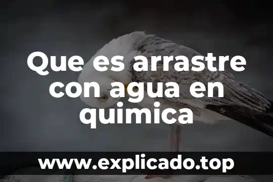 Que es arrastre con agua en quimica